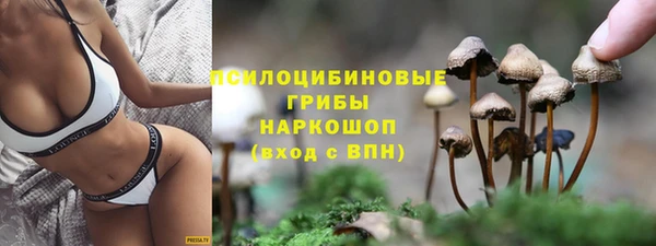 бутират Алзамай