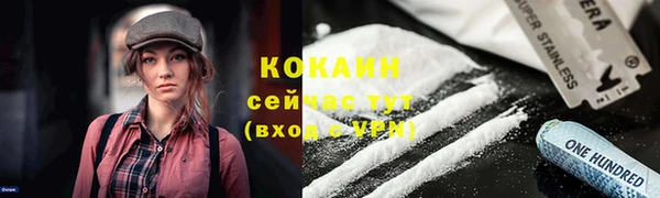 винт Алексин