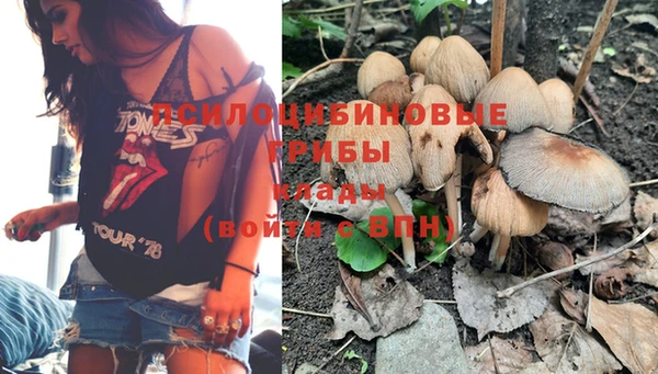 таблы Алексеевка